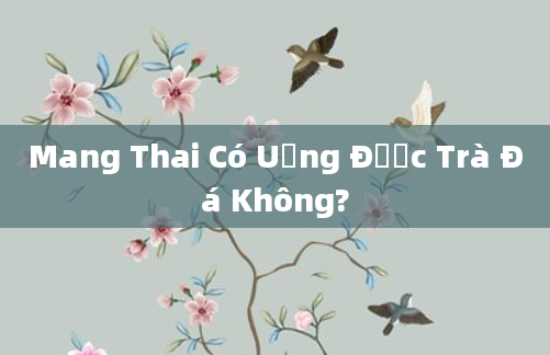 Mang Thai Có Uống Được Trà Đá Không?