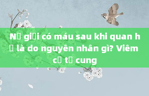 Nữ giới có máu sau khi quan hệ là do nguyên nhân gì? Viêm cổ tử cung