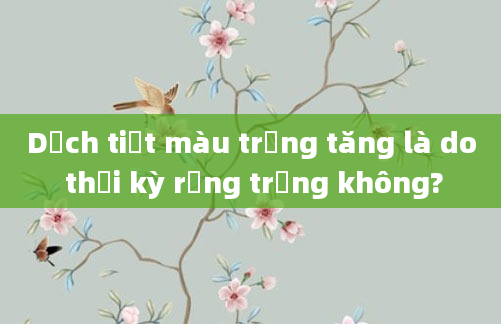 Dịch tiết màu trắng tăng là do thời kỳ rụng trứng không?