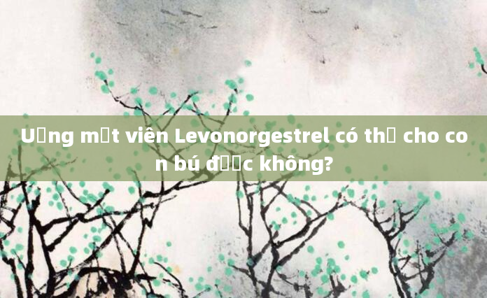 Uống một viên Levonorgestrel có thể cho con bú được không?