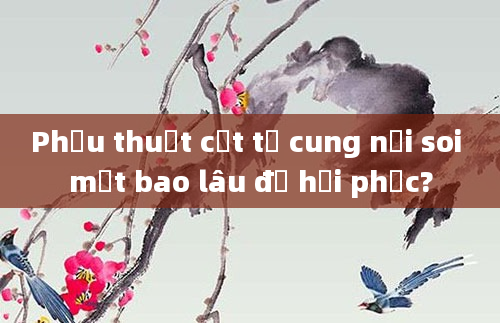 Phẫu thuật cắt tử cung nội soi mất bao lâu để hồi phục?