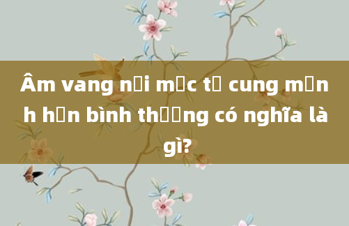 Âm vang nội mạc tử cung mạnh hơn bình thường có nghĩa là gì?