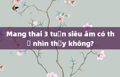 Mang thai 3 tuần siêu âm có thể nhìn thấy không?