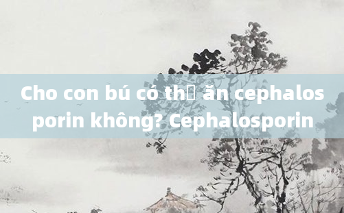 Cho con bú có thể ăn cephalosporin không? Cephalosporin