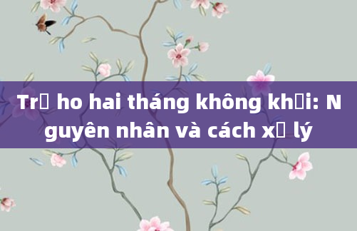 Trẻ ho hai tháng không khỏi: Nguyên nhân và cách xử lý