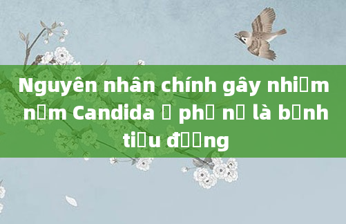 Nguyên nhân chính gây nhiễm nấm Candida ở phụ nữ là bệnh tiểu đường