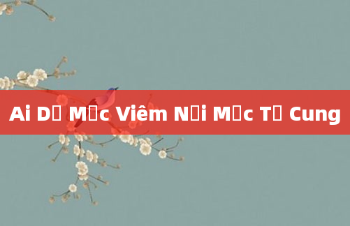 Ai Dễ Mắc Viêm Nội Mạc Tử Cung