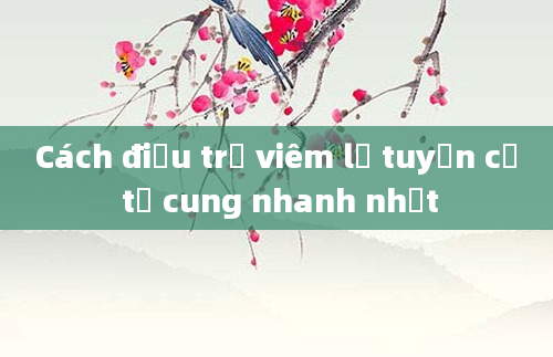 Cách điều trị viêm lộ tuyến cổ tử cung nhanh nhất