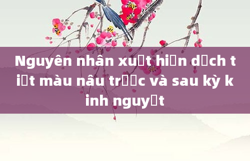Nguyên nhân xuất hiện dịch tiết màu nâu trước và sau kỳ kinh nguyệt