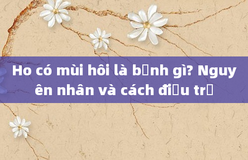 Ho có mùi hôi là bệnh gì? Nguyên nhân và cách điều trị