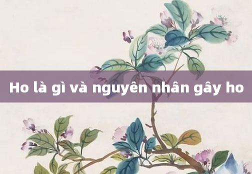 Ho là gì và nguyên nhân gây ho