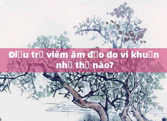 Điều trị viêm âm đạo do vi khuẩn như thế nào?