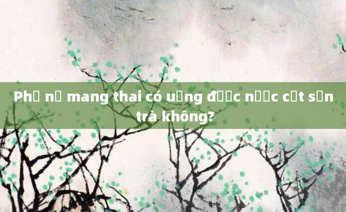 Phụ nữ mang thai có uống được nước cốt sơn trà không?
