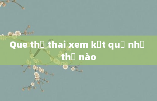 Que thử thai xem kết quả như thế nào