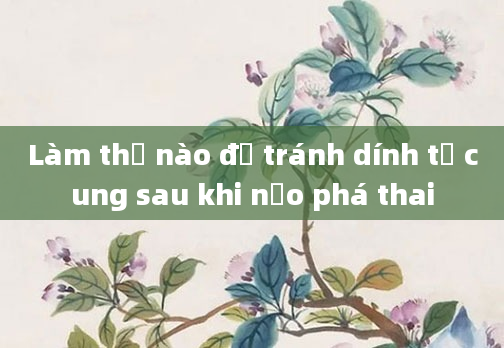 Làm thế nào để tránh dính tử cung sau khi nạo phá thai