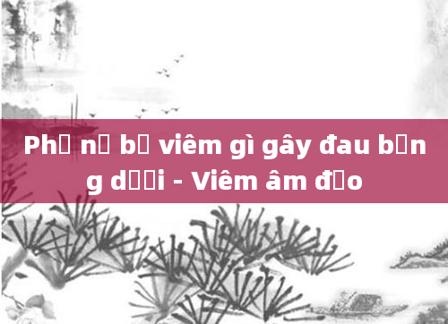 Phụ nữ bị viêm gì gây đau bụng dưới - Viêm âm đạo