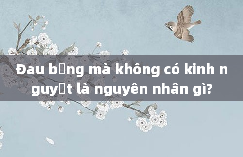 Đau bụng mà không có kinh nguyệt là nguyên nhân gì?