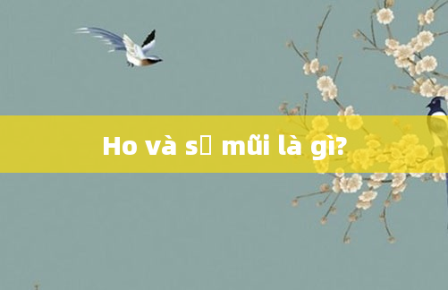 Ho và sổ mũi là gì?