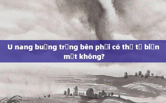 U nang buồng trứng bên phải có thể tự biến mất không?