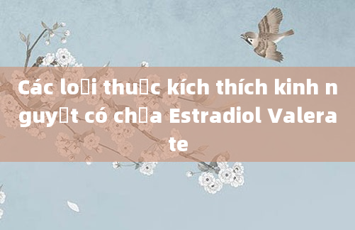 Các loại thuốc kích thích kinh nguyệt có chứa Estradiol Valerate
