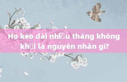 Ho kéo dài nhiều tháng không khỏi là nguyên nhân gì?