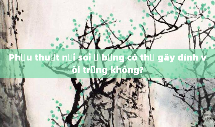 Phẫu thuật nội soi ổ bụng có thể gây dính vòi trứng không?