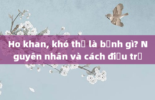 Ho khan, khó thở là bệnh gì? Nguyên nhân và cách điều trị