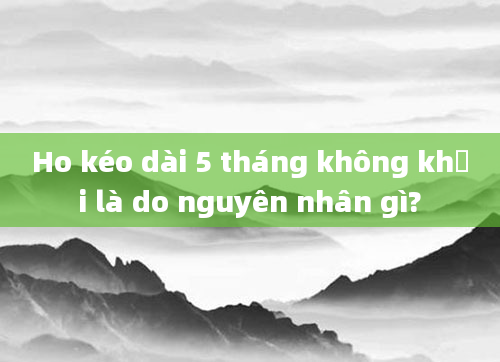 Ho kéo dài 5 tháng không khỏi là do nguyên nhân gì?