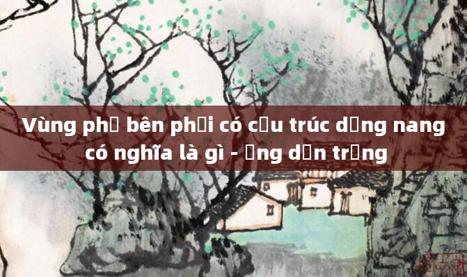 Vùng phụ bên phải có cấu trúc dạng nang có nghĩa là gì - Ống dẫn trứng