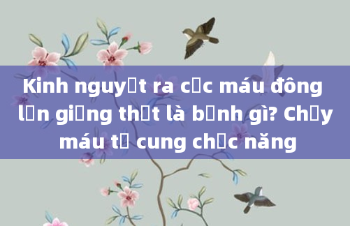 Kinh nguyệt ra cục máu đông lớn giống thịt là bệnh gì? Chảy máu tử cung chức năng