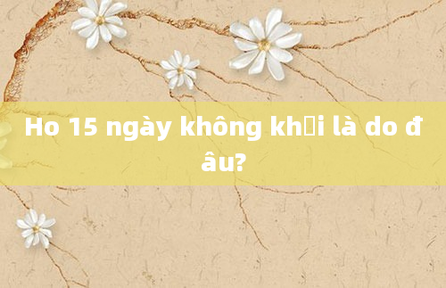 Ho 15 ngày không khỏi là do đâu?