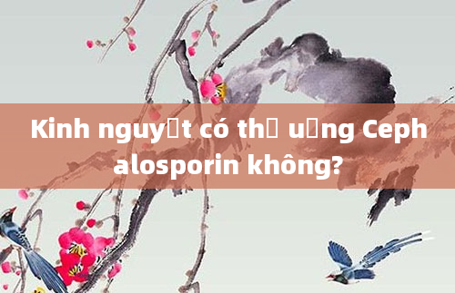 Kinh nguyệt có thể uống Cephalosporin không?