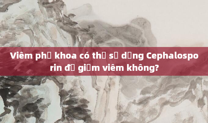 Viêm phụ khoa có thể sử dụng Cephalosporin để giảm viêm không?