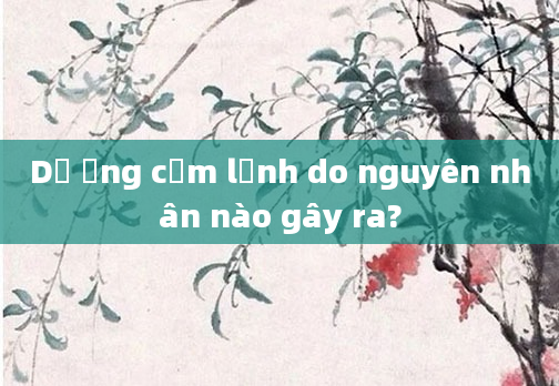 Dị ứng cảm lạnh do nguyên nhân nào gây ra?