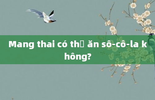 Mang thai có thể ăn sô-cô-la không?