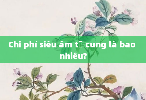 Chi phí siêu âm tử cung là bao nhiêu?