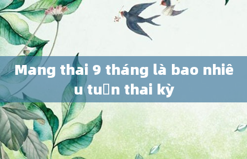 Mang thai 9 tháng là bao nhiêu tuần thai kỳ