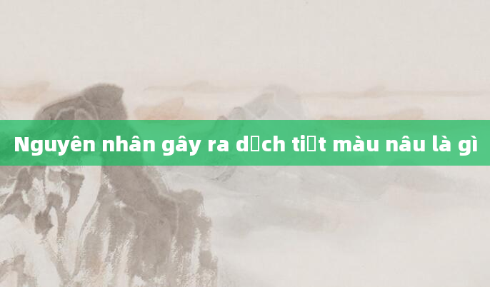 Nguyên nhân gây ra dịch tiết màu nâu là gì