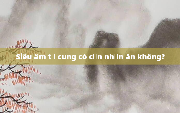 Siêu âm tử cung có cần nhịn ăn không?