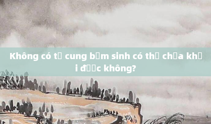 Không có tử cung bẩm sinh có thể chữa khỏi được không?