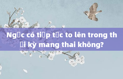 Ngực có tiếp tục to lên trong thời kỳ mang thai không?