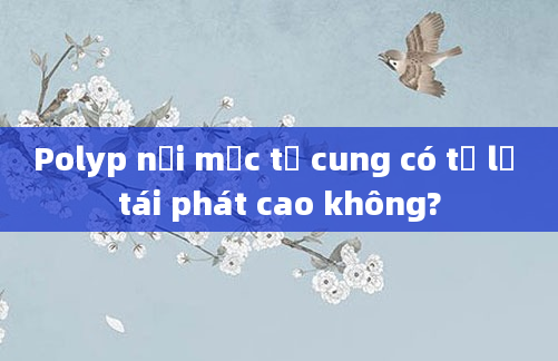 Polyp nội mạc tử cung có tỷ lệ tái phát cao không?