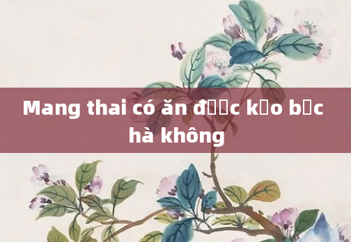 Mang thai có ăn được kẹo bạc hà không