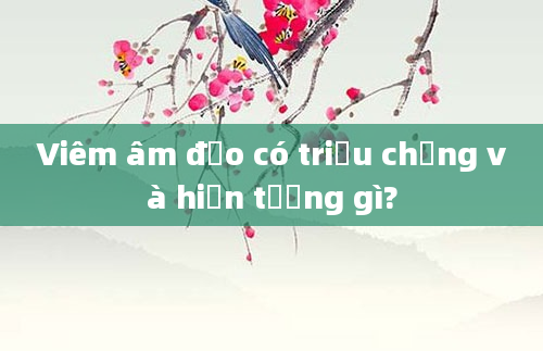 Viêm âm đạo có triệu chứng và hiện tượng gì?