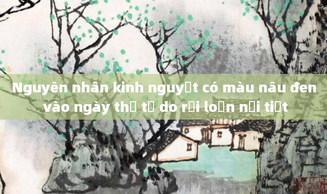 Nguyên nhân kinh nguyệt có màu nâu đen vào ngày thứ tư do rối loạn nội tiết