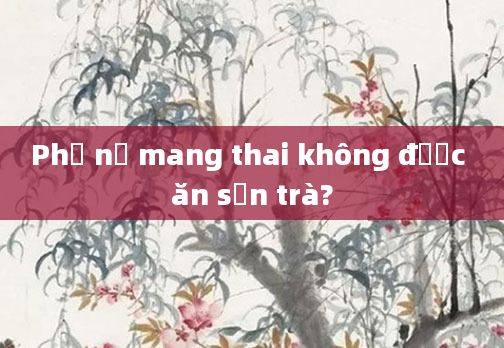 Phụ nữ mang thai không được ăn sơn trà?