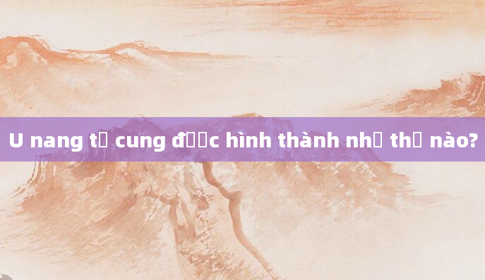 U nang tử cung được hình thành như thế nào?