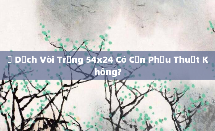 Ứ Dịch Vòi Trứng 54x24 Có Cần Phẫu Thuật Không?
